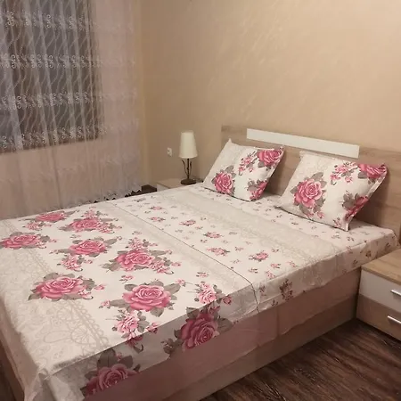 Sunshine * 포마리